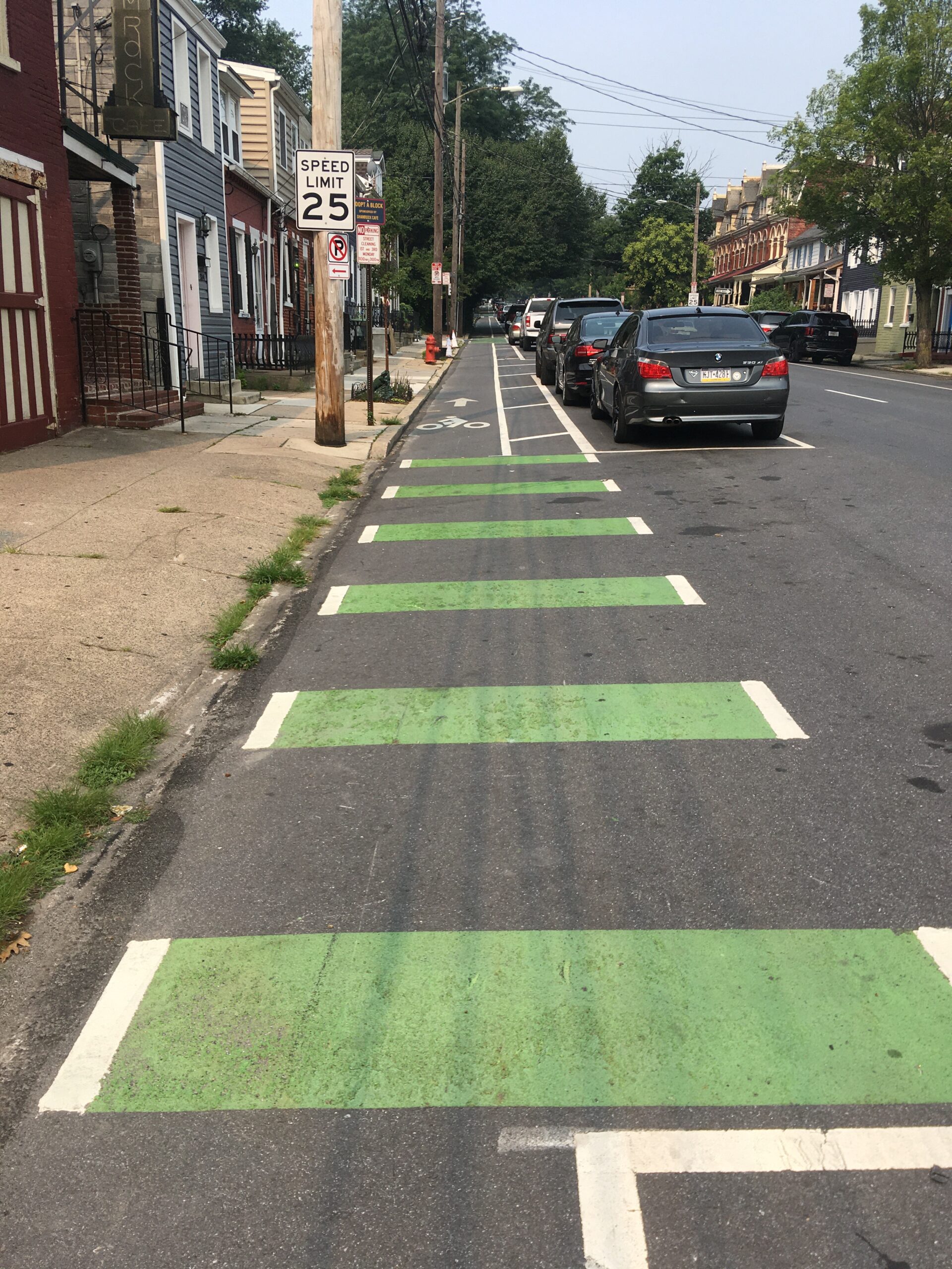 Separated Bike Lanes